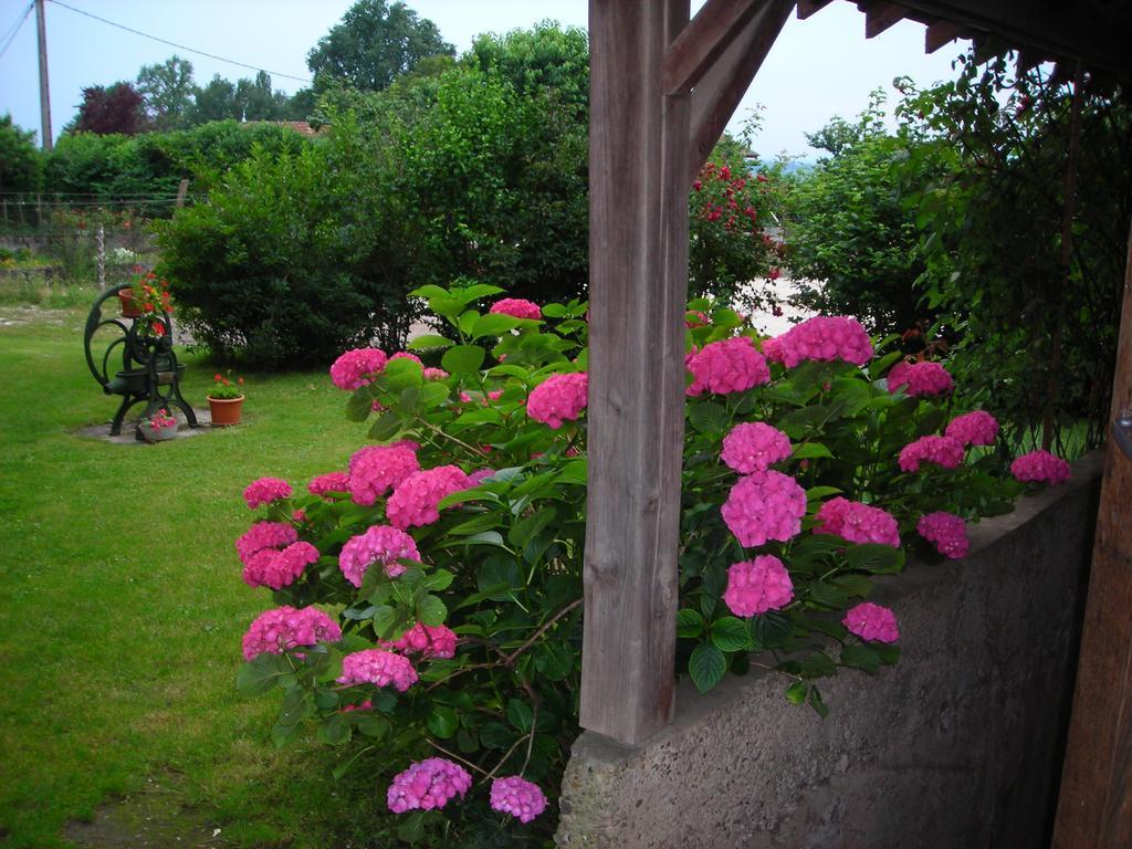 Villa La Bardelière à Corbelin Extérieur photo